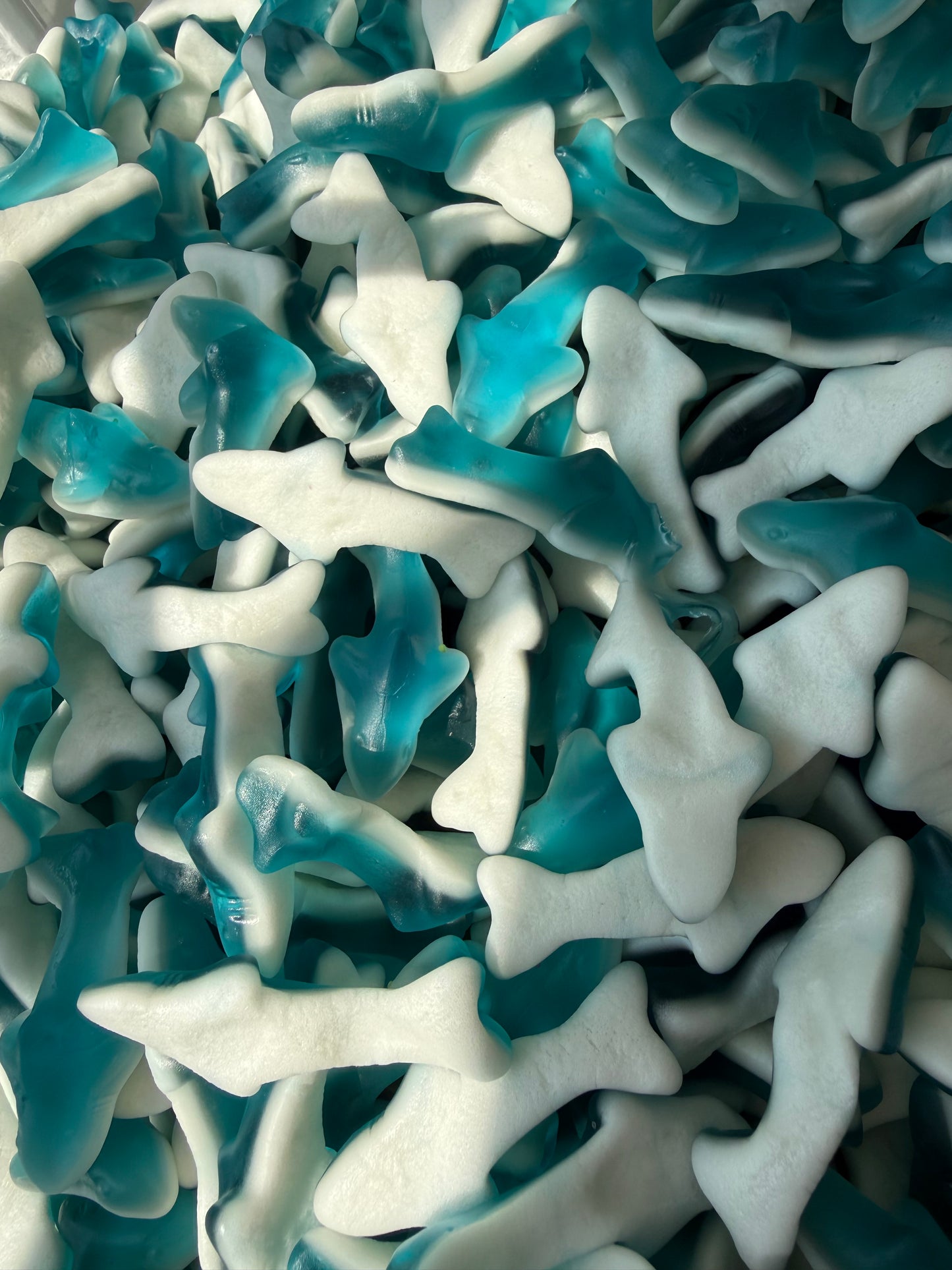 -4oz Blueberry Sharks