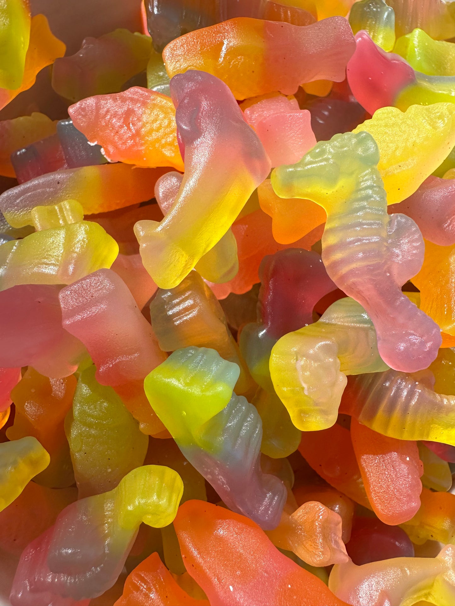 -4oz Sweet Sea Creatures (V)