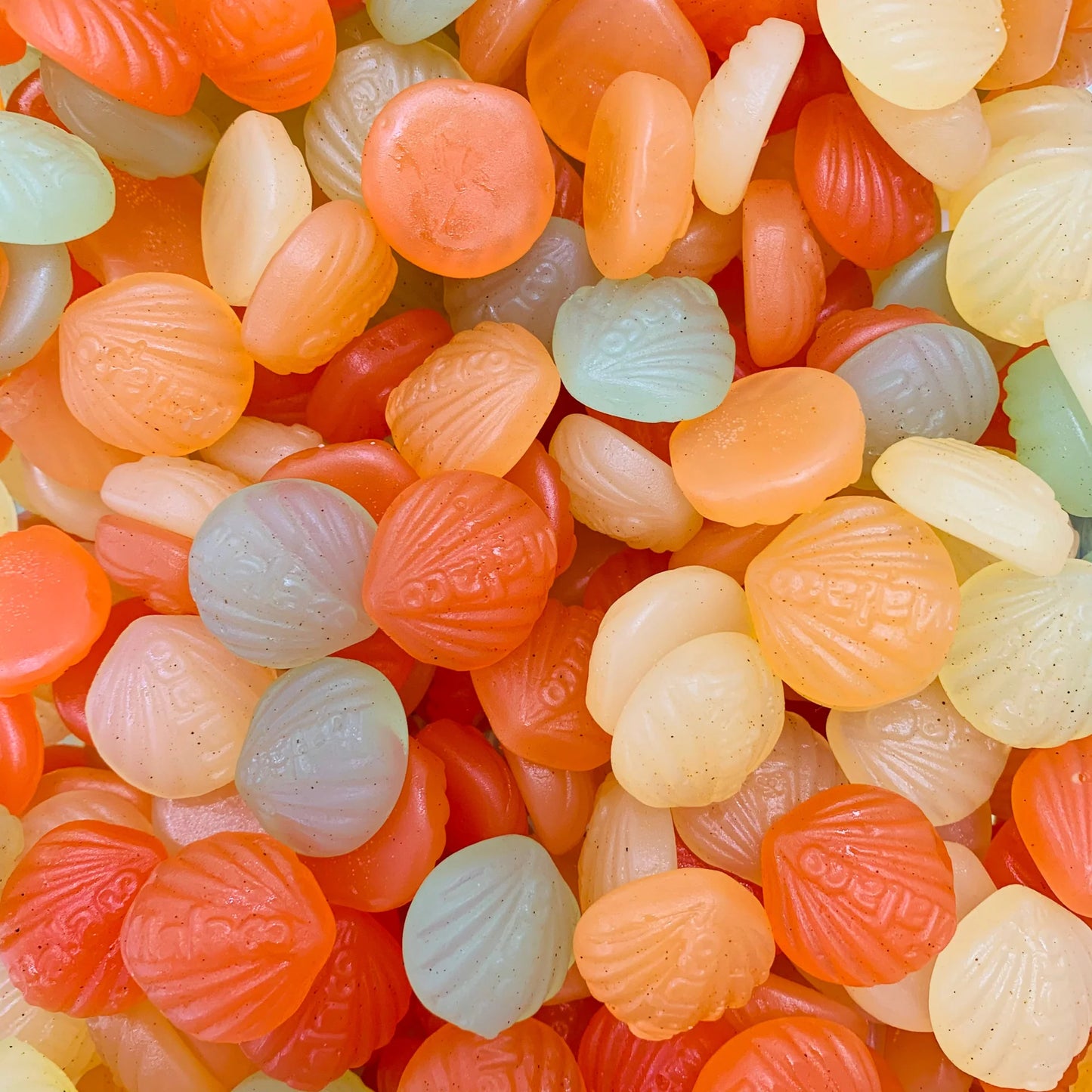 -4oz Sweet Seashells
